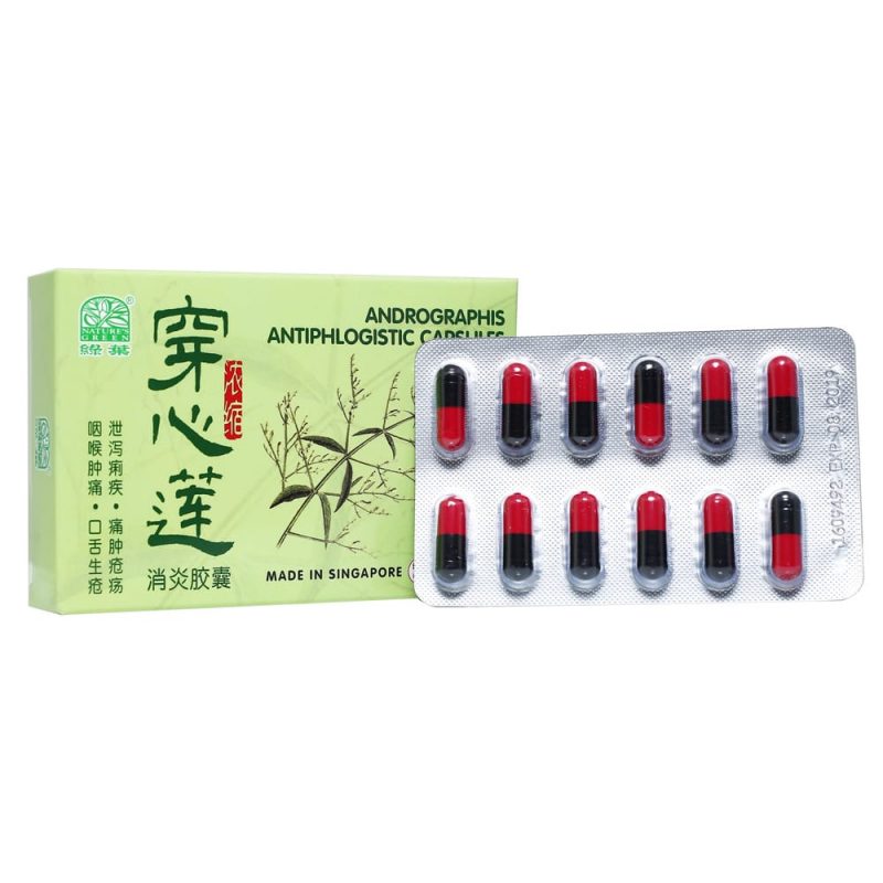 [Nature's Green] Andrographis Antiphlogistic Capsules 24s 穿心莲消炎胶囊24s